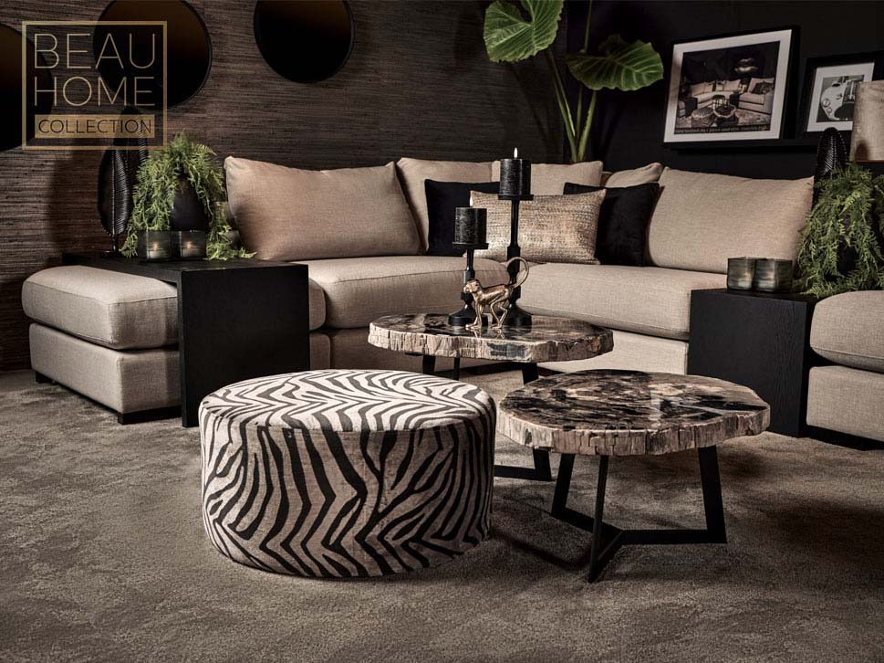 Coffee Table Petrified Wood