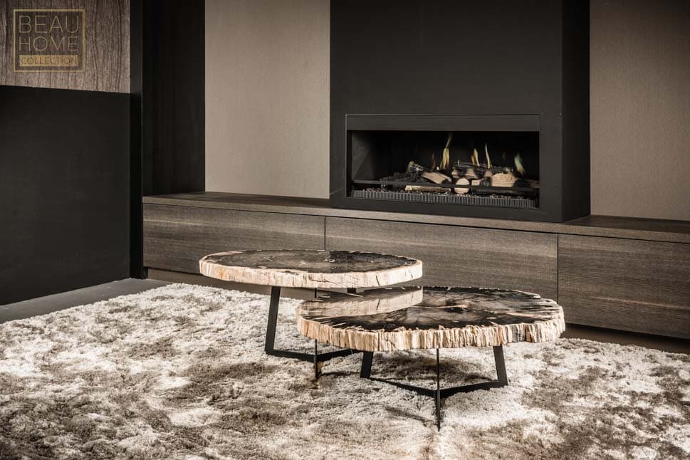 Versteend houten salontafel